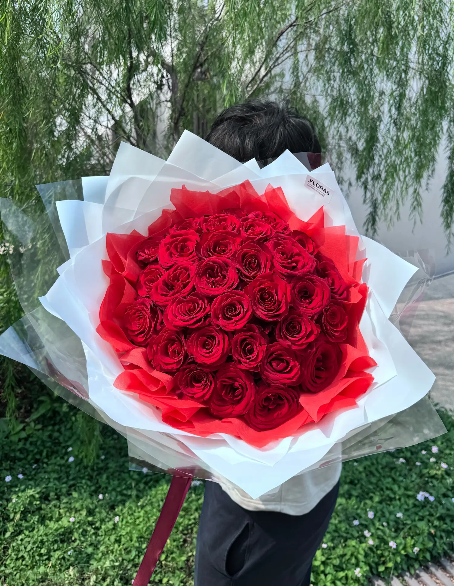 Signature Roses WEBP